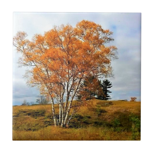 Azulejo Otoño en el lago Michigan (Frente)