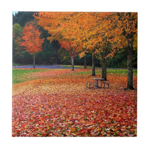 Azulejo Otoño en el parque