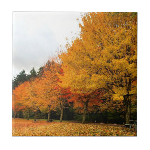 Azulejo Otoño en el Parque, Oregon