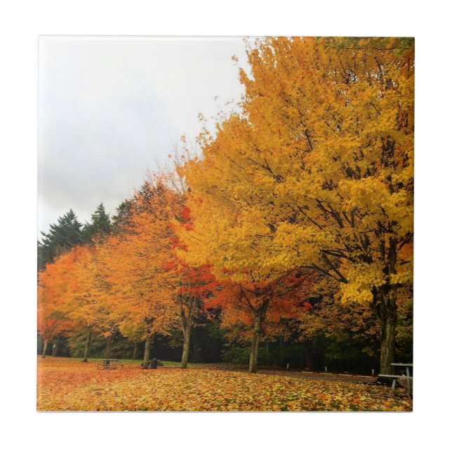 Azulejo Otoño en el Parque, Oregon (Frente)