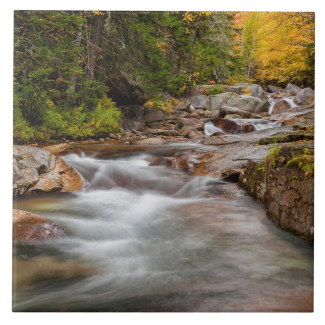 Azulejo Otoño en Jefferson Brook, New Hampshire (Frente)