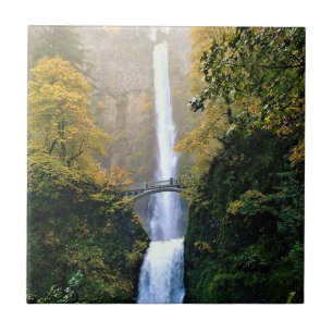 Azulejo Otoño en las cataratas de Multnomah, OR