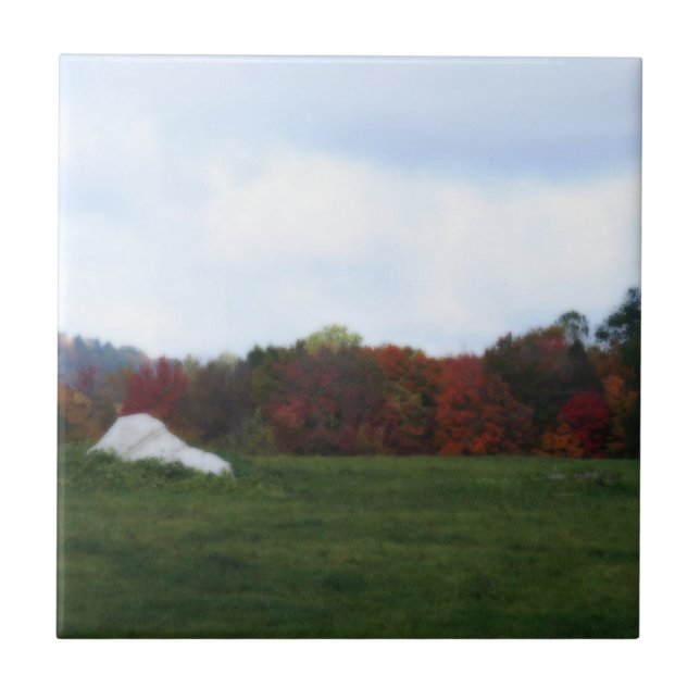 Azulejo Otoño Sale de Campo Naturaleza Tile Arte (Frente)