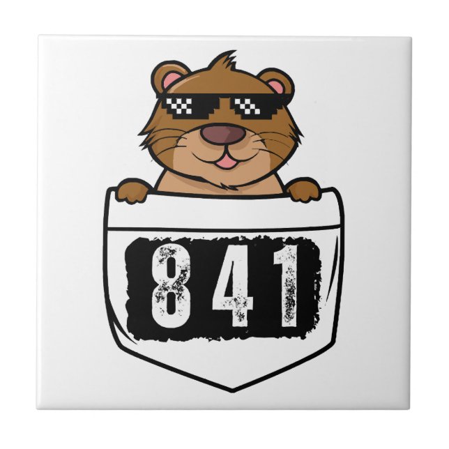 Azulejo Otter 841 (Frente)