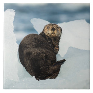 Azulejo Otter marino de reposo