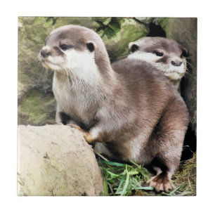 AZULEJO OTTERS