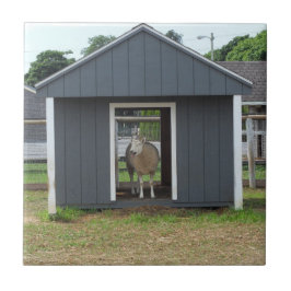 Azulejo Oveja En Mosaico De BarnHouse