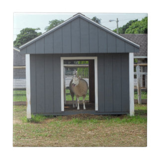 Azulejo Oveja En Mosaico De BarnHouse