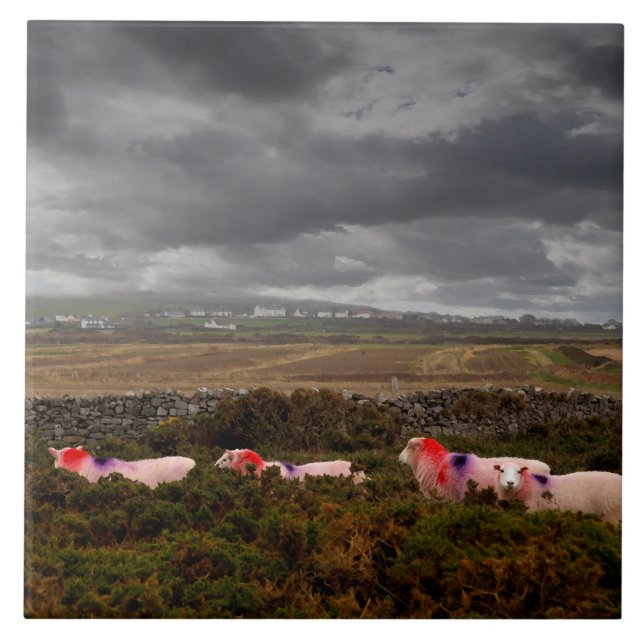 Azulejo Ovejas coloreadas (Frente)