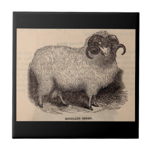 Azulejo Ovejas de la región montañosa del siglo XIX