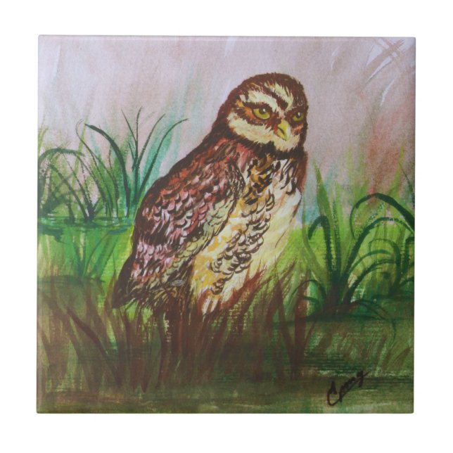 Azulejo Owl in nature watercolor art (Frente)
