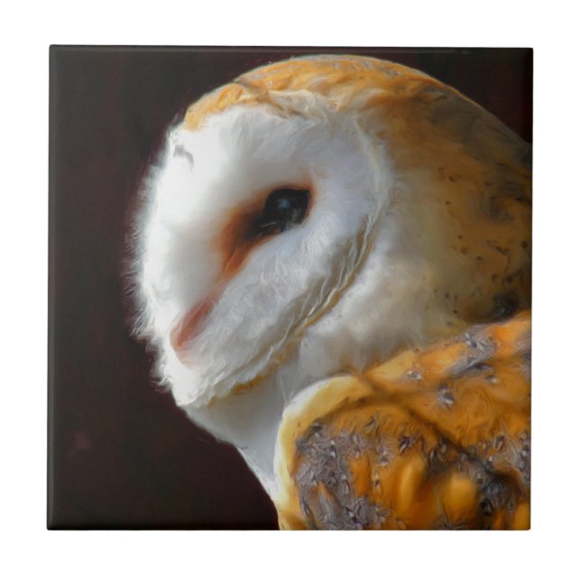 AZULEJO OWLS (Frente)