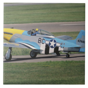 Azulejo P-51 D norteamericano Dazzling Donna en la