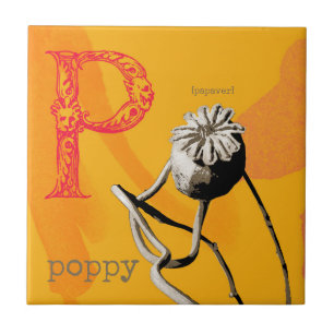 Azulejo P es para Poppy