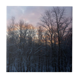 Azulejo Paisaje de la Naturaleza del Sol Invierno I Pastel