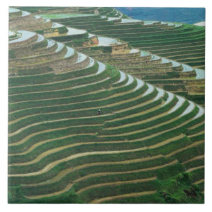 Azulejo Paisaje de las terrazas de arroz en la montaña, 3