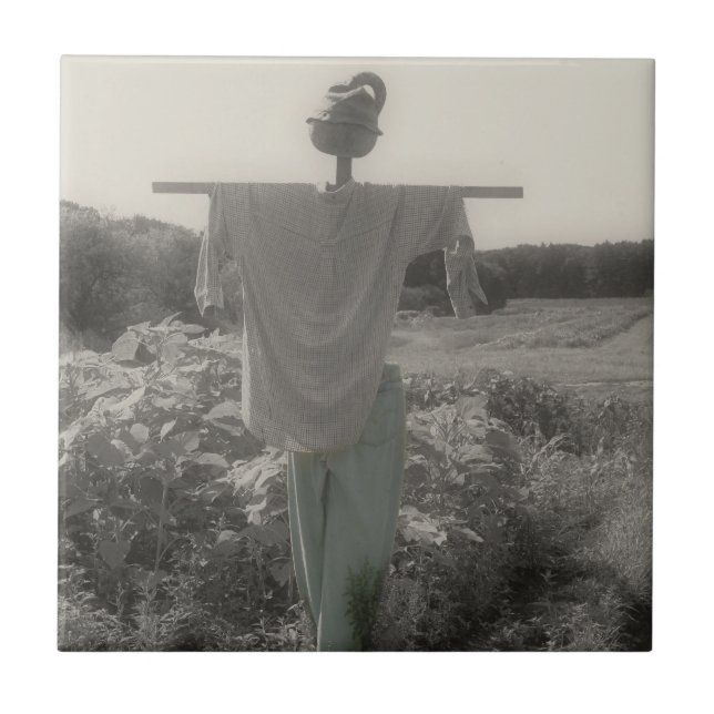 Azulejo Paisaje De Los Jardines De Campo Negro Y Blanco (Frente)