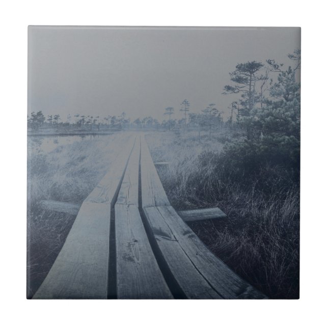 Azulejo Paisaje de oscilación de niebla (Frente)