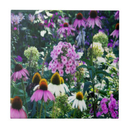 Azulejo Paisaje de Pink Garden Phlox con flores de cono