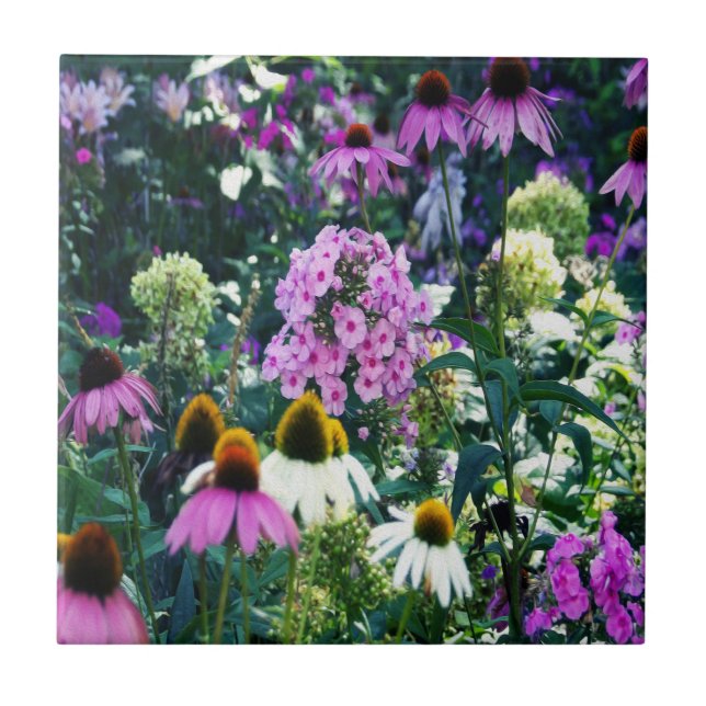 Azulejo Paisaje de Pink Garden Phlox con flores de cono (Frente)