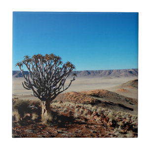 Azulejo Paisaje del desierto de Namibia Tirool Kokerboom