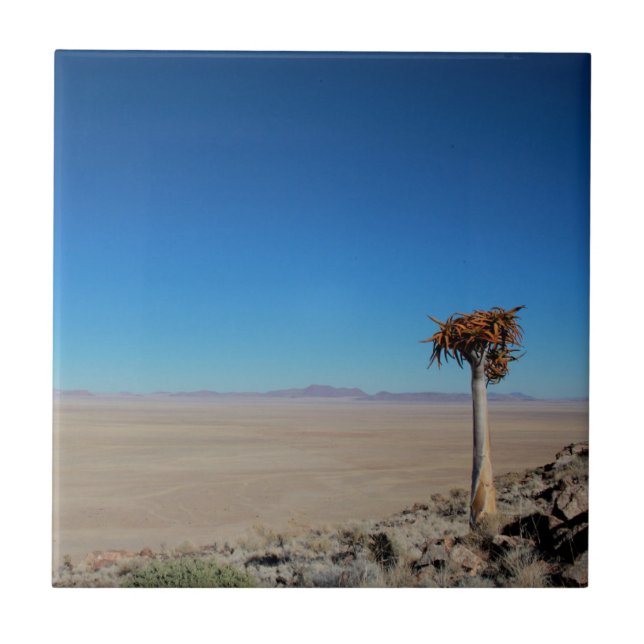 Azulejo Paisaje del desierto de Namibia Tirool Kokerboom (Frente)