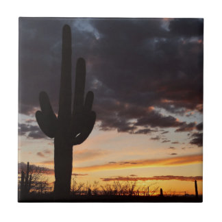 Azulejo Paisaje del desierto Saguaro Sunset III Arizona