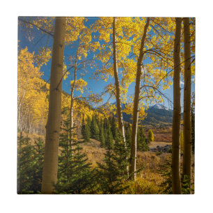 Azulejo Paisaje en las montañas de San Juan