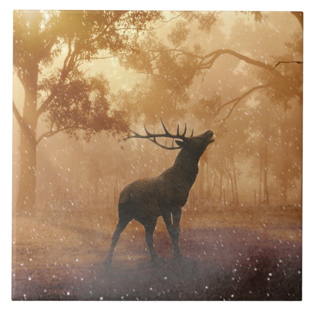 Azulejo Paisaje hermoso de la naturaleza de Hirsch (Frente)