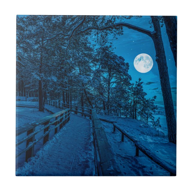 Azulejo Paisaje invernal con pinar cubierto de nieve (Frente)