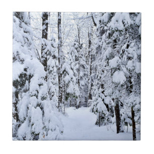Azulejo Paisaje invernal Nieve en el bosque