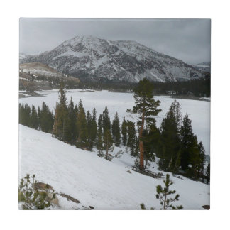 Azulejo Paisaje invernal Snowy Ellery Lake California