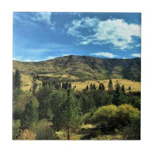 Azulejo Paisaje junto al río Serpiente, Oregón