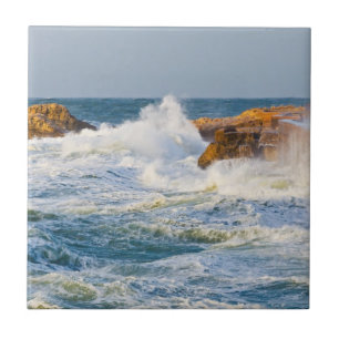 Azulejo Paisaje marino