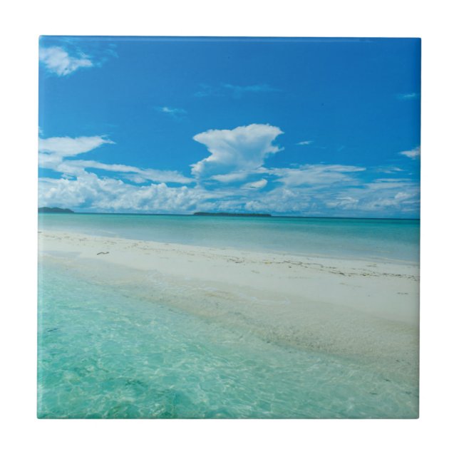 Azulejo Paisaje marino tropical azul, Palau (Frente)