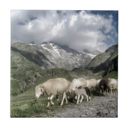 Azulejo paisaje pirénico