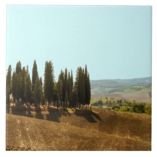 Azulejo Paisajes típicos de la provincia de Siena en la To