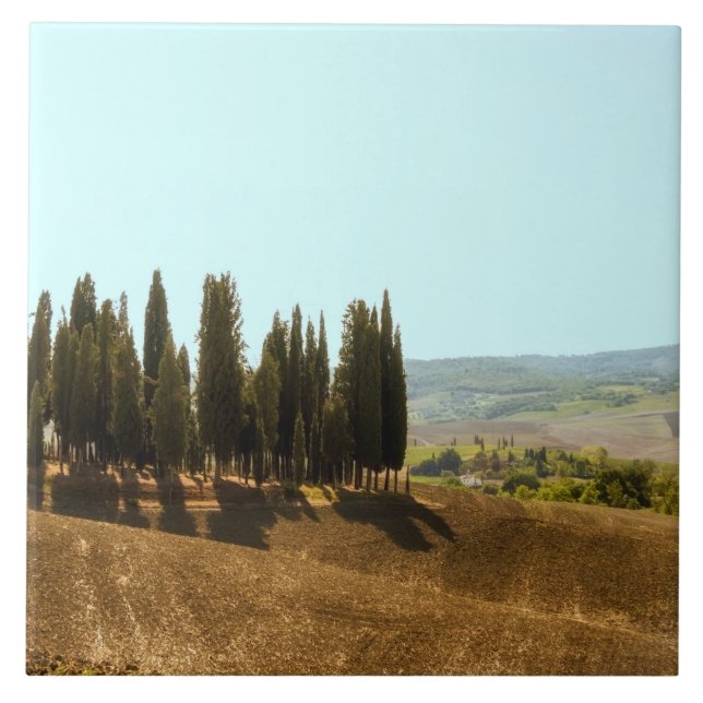 Azulejo Paisajes típicos de la provincia de Siena en la To (Frente)