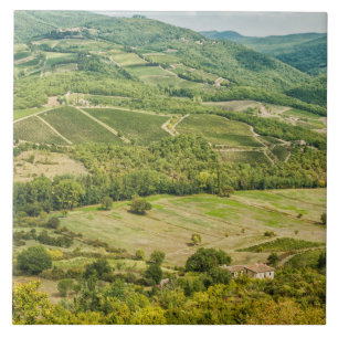 Azulejo Paisajes vitícolas por la mañana en Chianti.