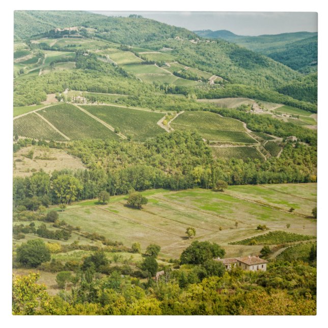 Azulejo Paisajes vitícolas por la mañana en Chianti. (Frente)
