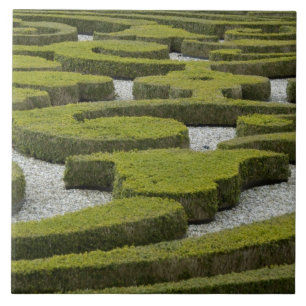 Azulejo Países Bajos (alias Holanda), Apeldoorn fuera de