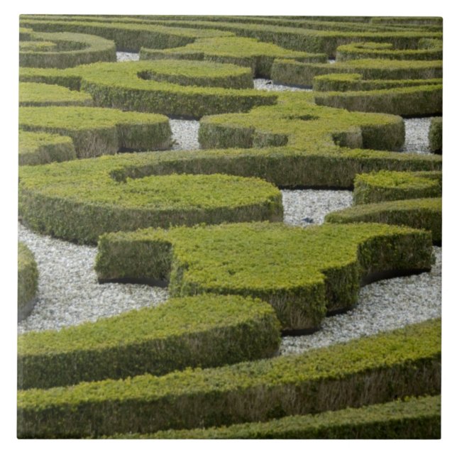 Azulejo Países Bajos (alias Holanda), Apeldoorn fuera de (Frente)