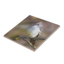 Pajarito con picante de ceniza en rama