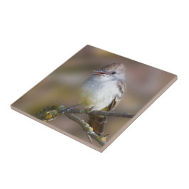 Azulejo Pajarito con picante de ceniza en rama