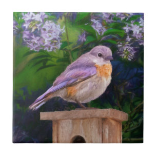 Azulejo Pájaro azul oriental en nieve - Fotografía origina