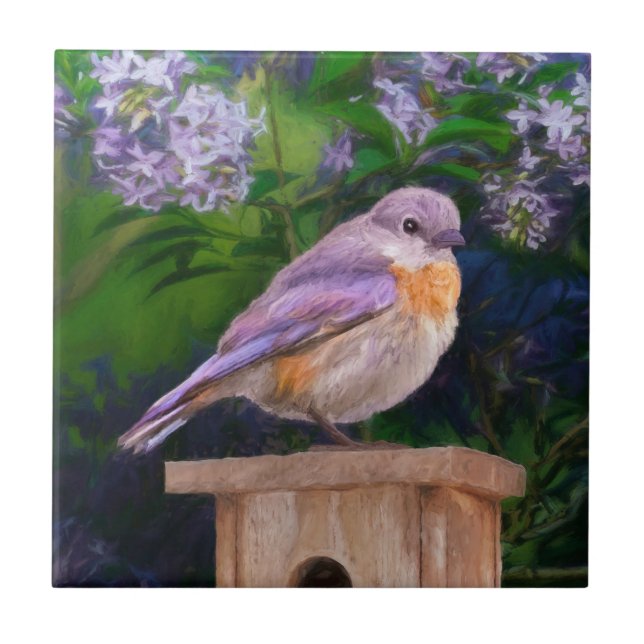 Azulejo Pájaro azul oriental en nieve - Fotografía origina (Frente)