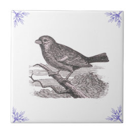Azulejo Pájaro azul y mosaicos