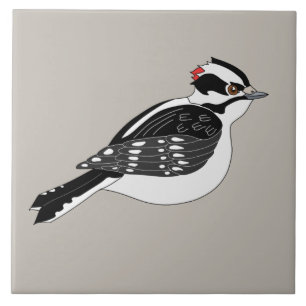 Azulejo Pájaro carpintero macho con cabeza roja