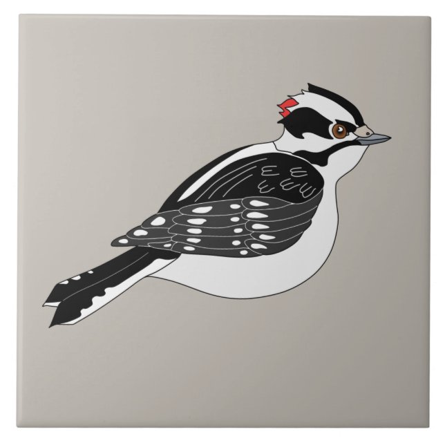 Azulejo Pájaro carpintero macho con cabeza roja (Frente)