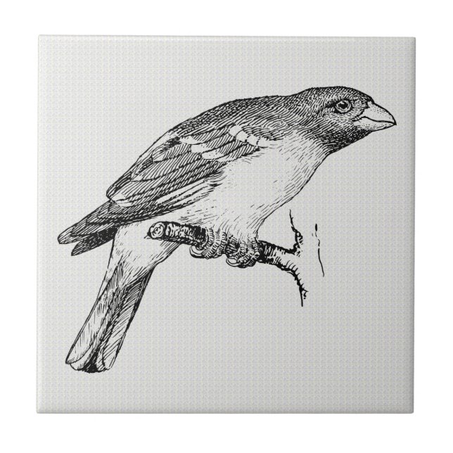 Azulejo Pájaro de dibujo de línea blanca y negra (Frente)